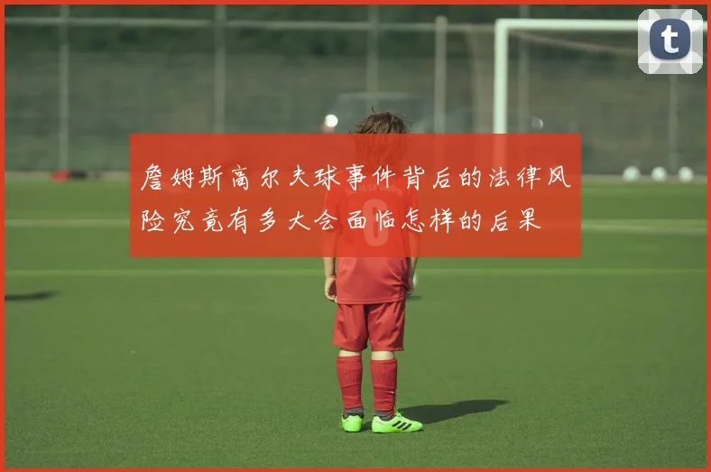 詹姆斯高尔夫球事件背后的法律风险究竟有多大会面临怎样的后果